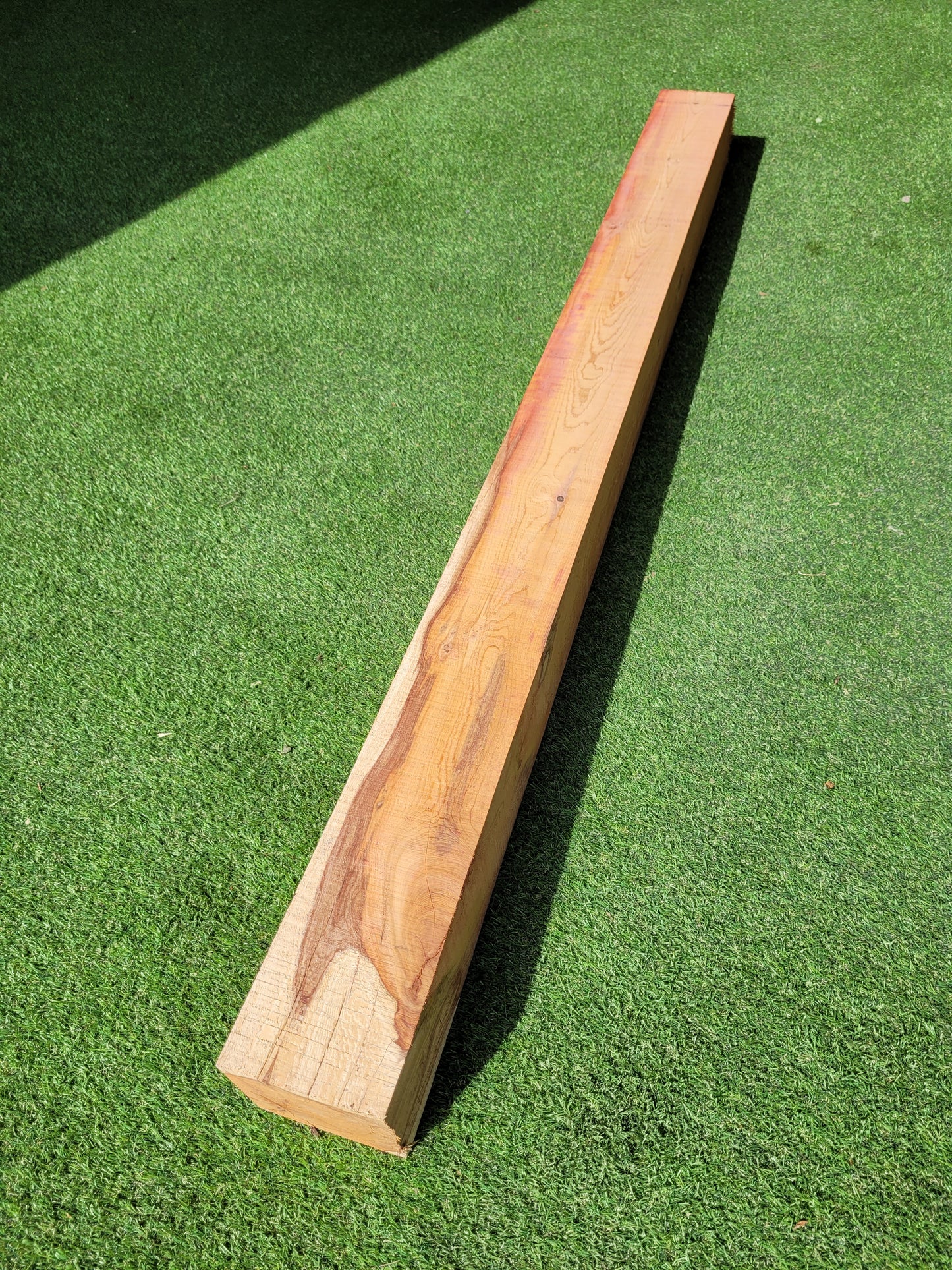 Yew Timber Beam