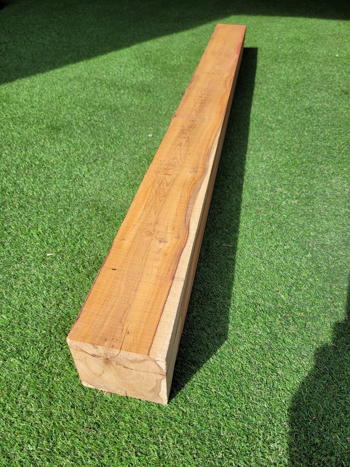 Yew Timber Beam