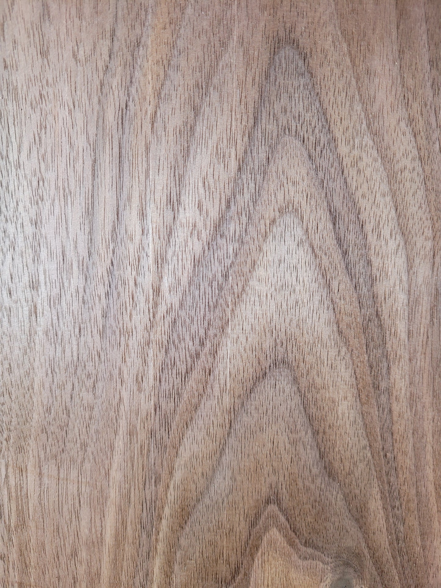 American Black Walnut