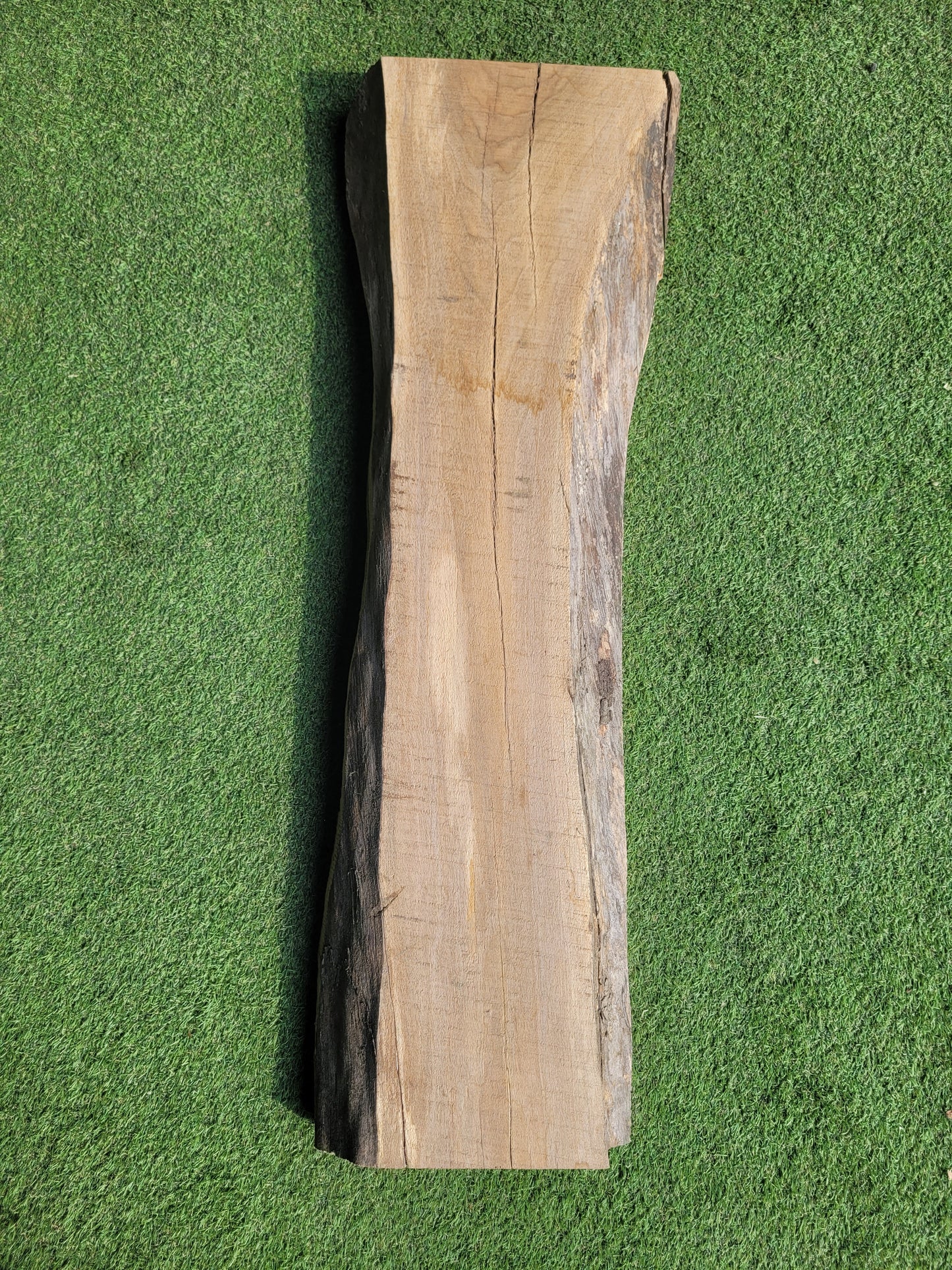English Walnut Timber Slab (OF109)