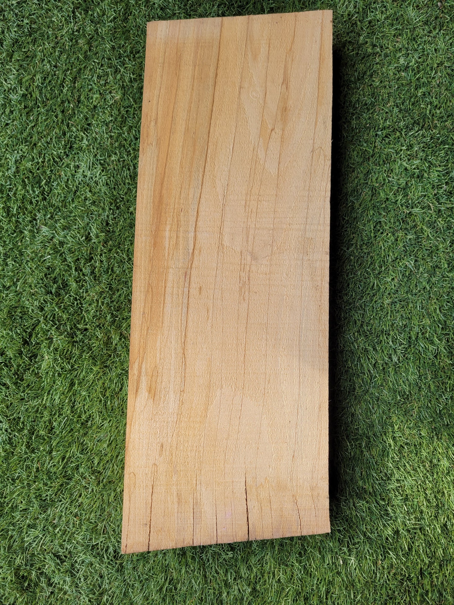 Spalted Beech Hardwood Offcut (OF41)