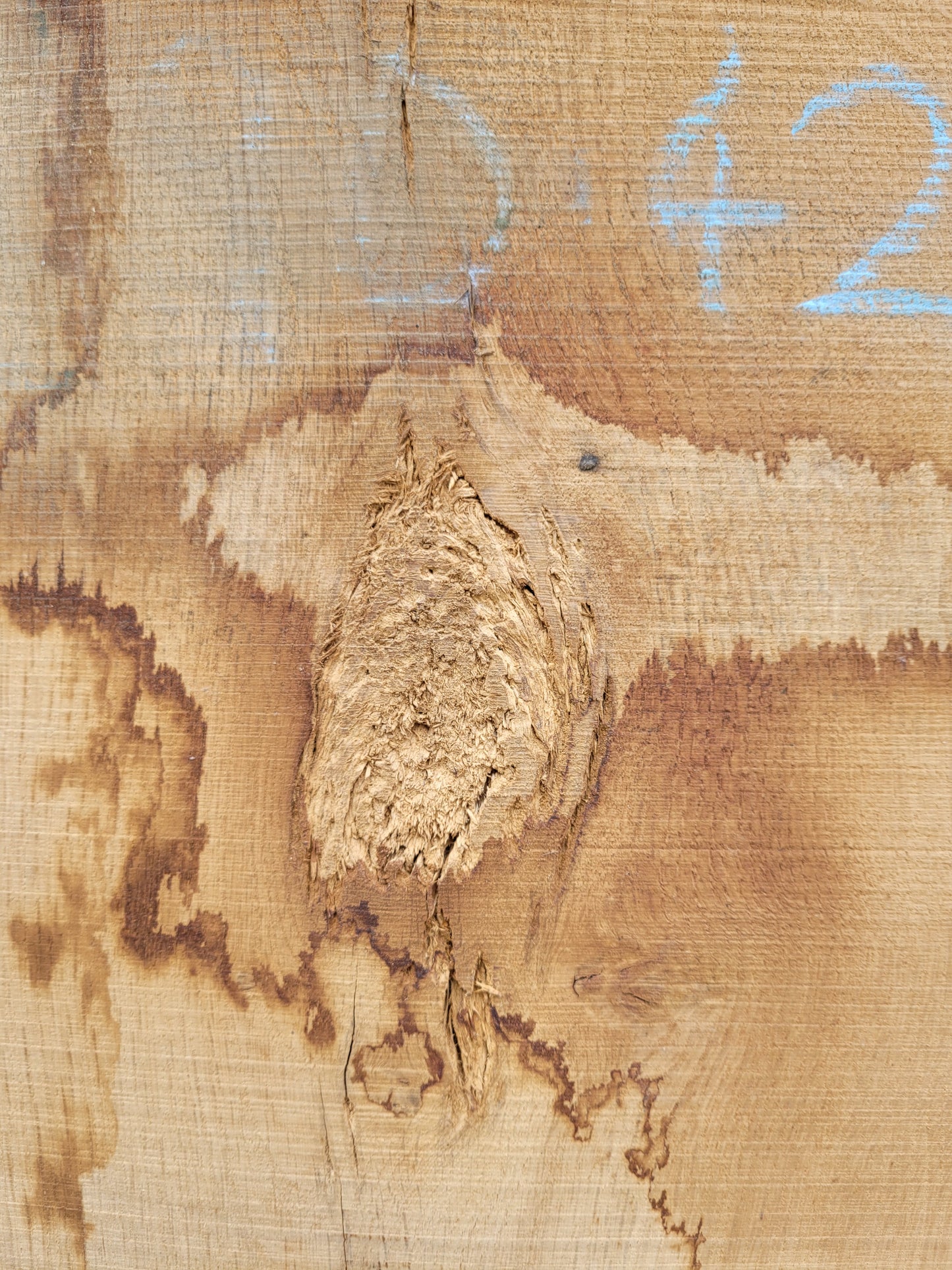 Oak Hardwood Live Edge Character Grade Board 1.95m Long