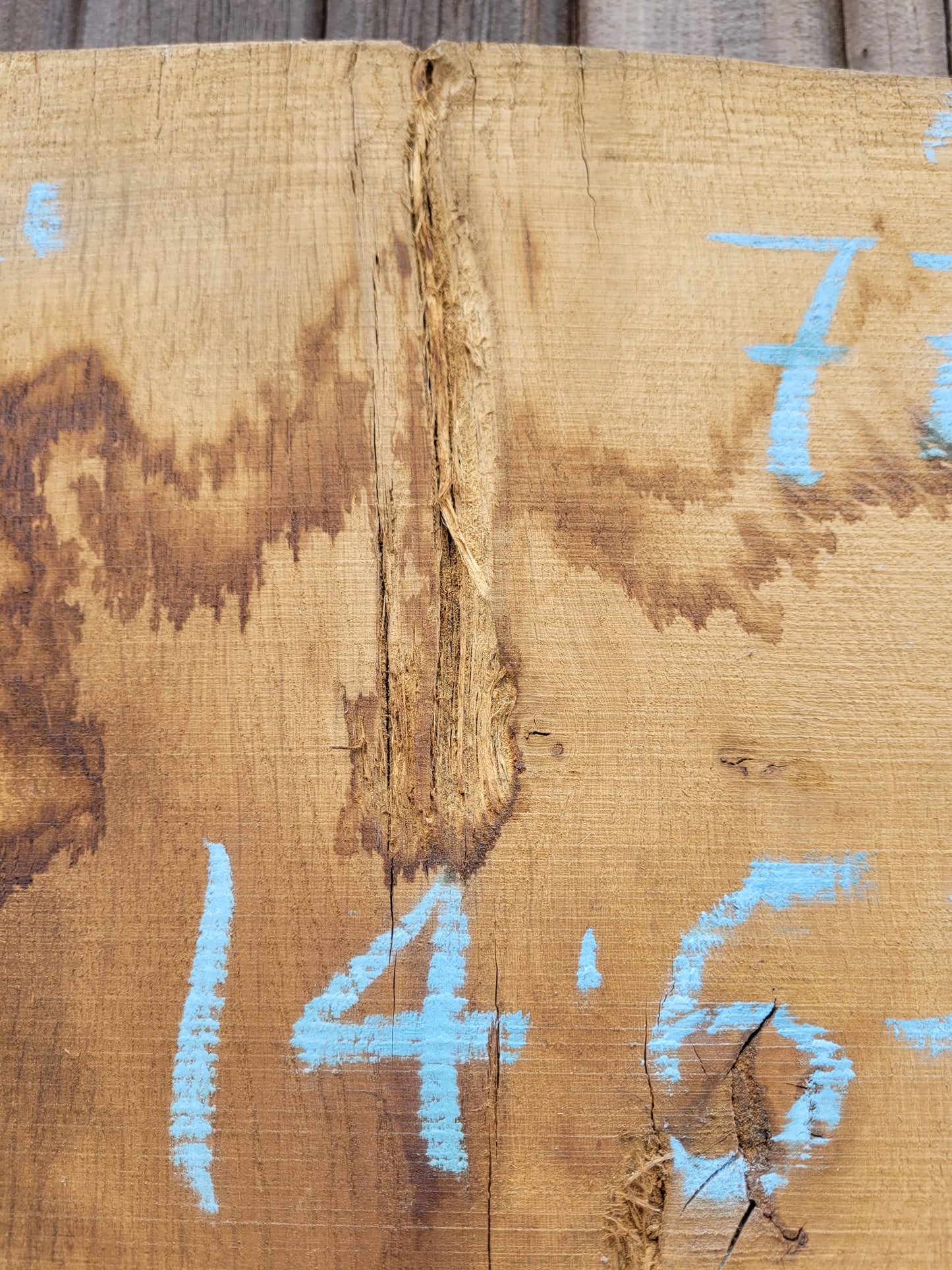 Oak Hardwood Live Edge Character Grade Board 1.95m Long