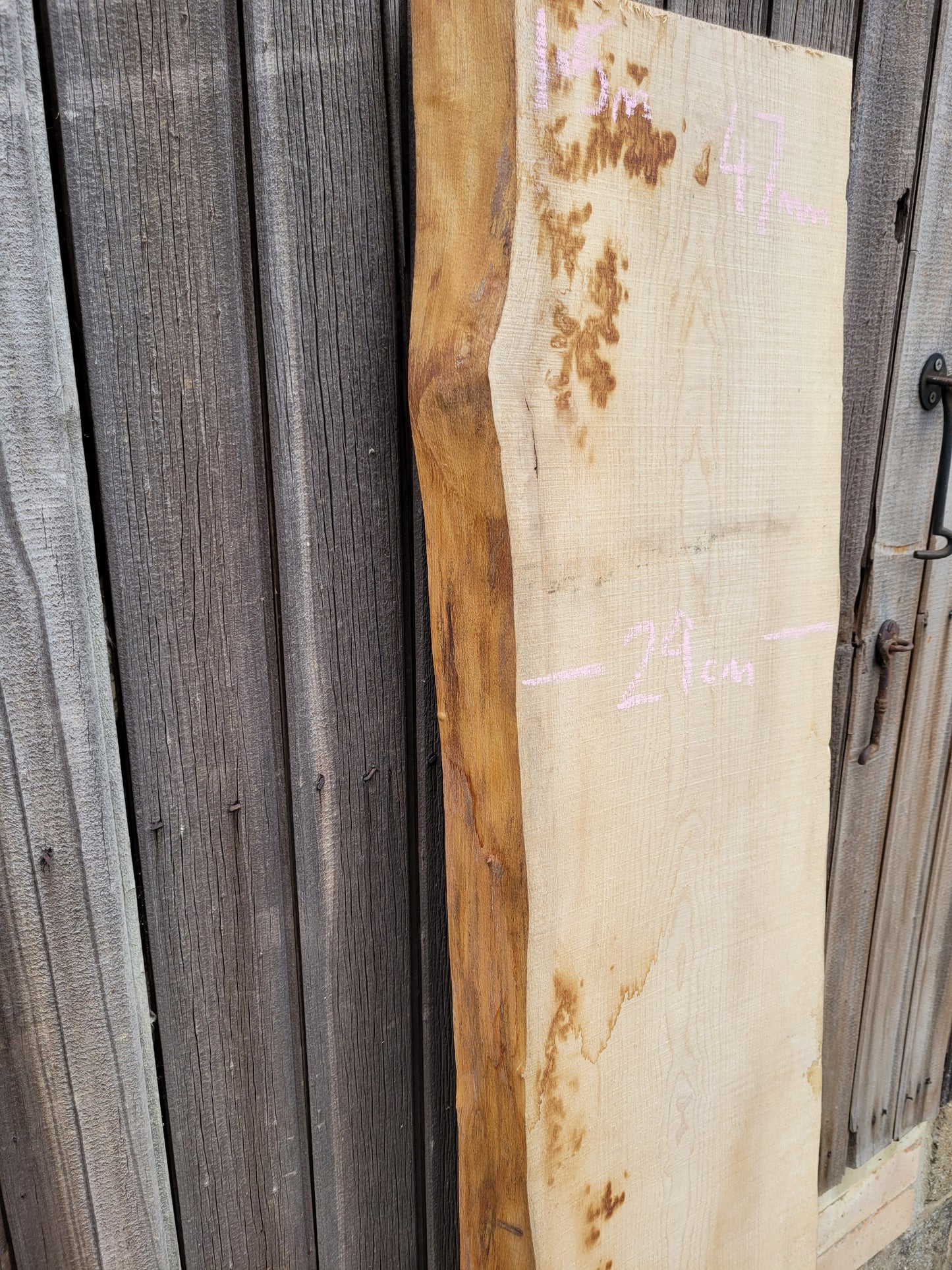 English Ash Hardwood Live Edge Slab 1.5m