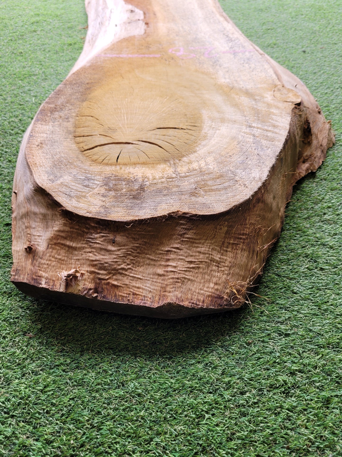 English Oak Unique Live Edge Hardwood Board 127cm Long