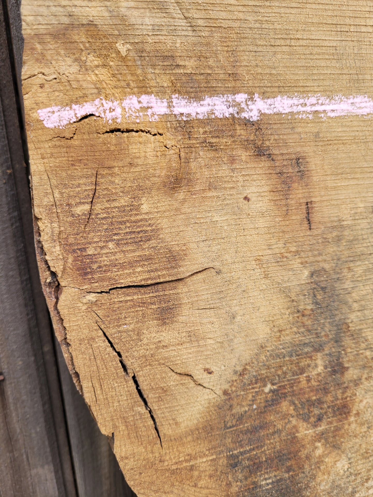 English Oak Live Edge Hardwood Slab 1.46m Long