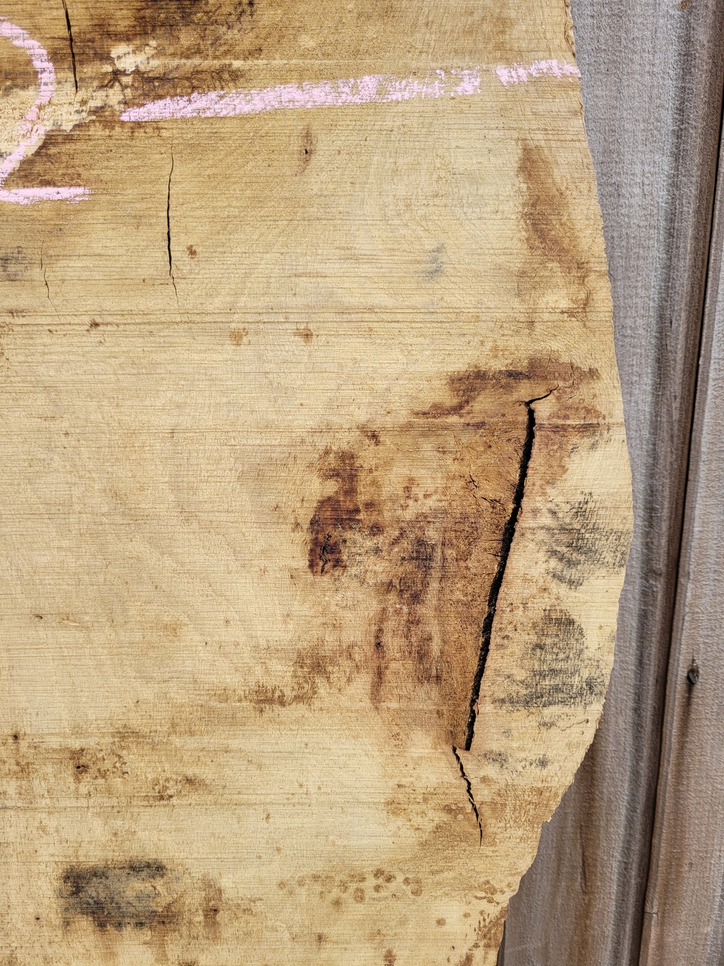 English Oak Live Edge Hardwood Slab 1.46m Long