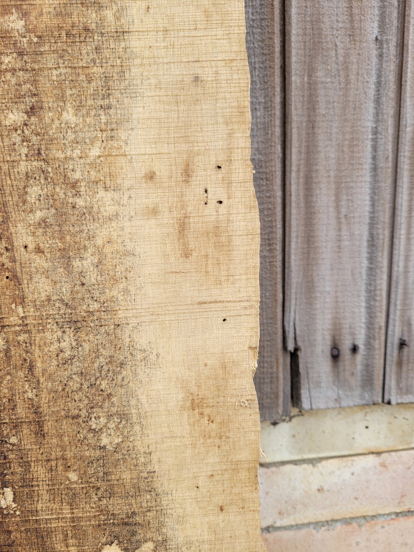 English Oak Live Edge Hardwood Slab 1.46m Long