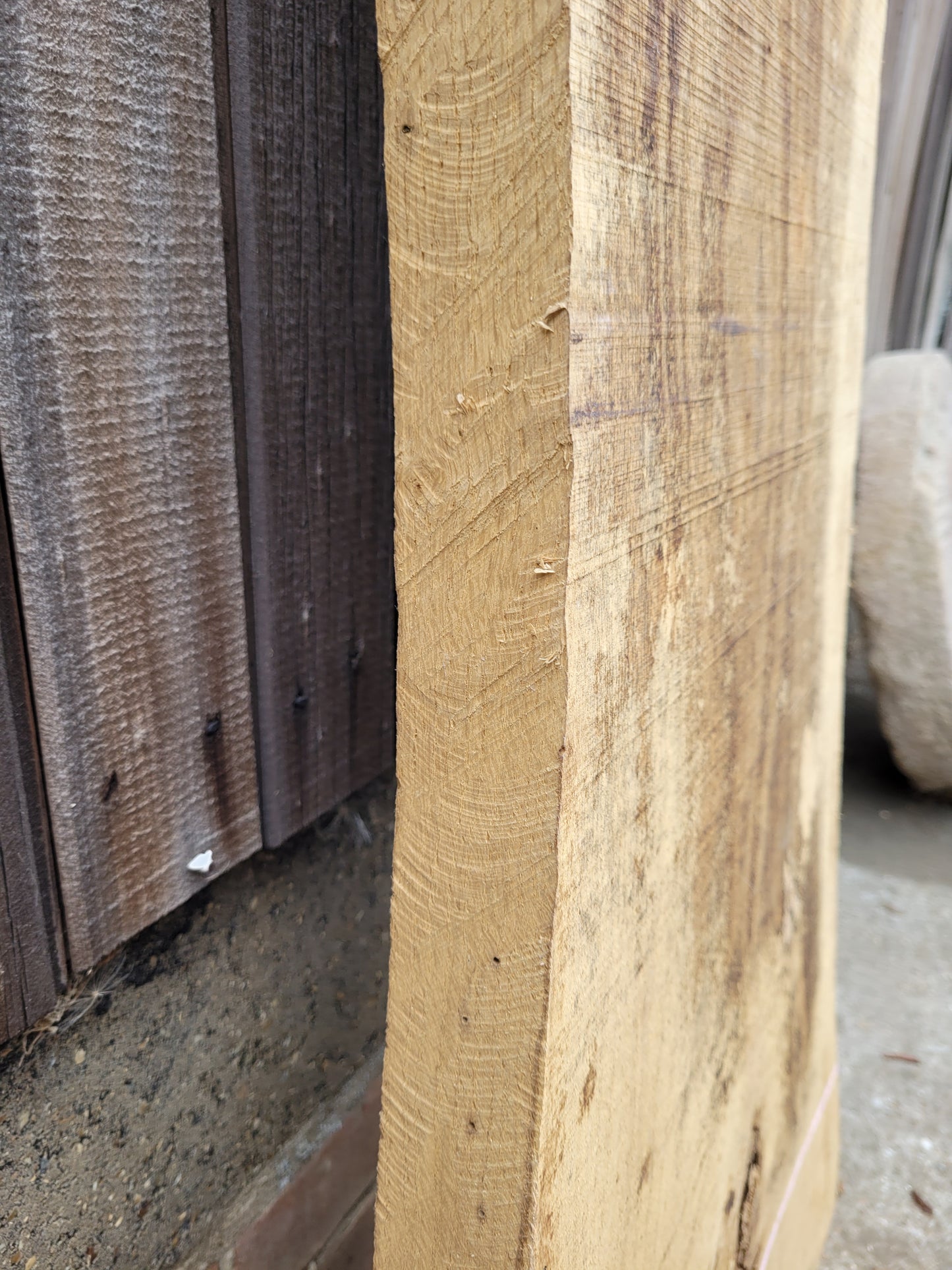 English Oak Live Edge Hardwood Slab 1.46m Long