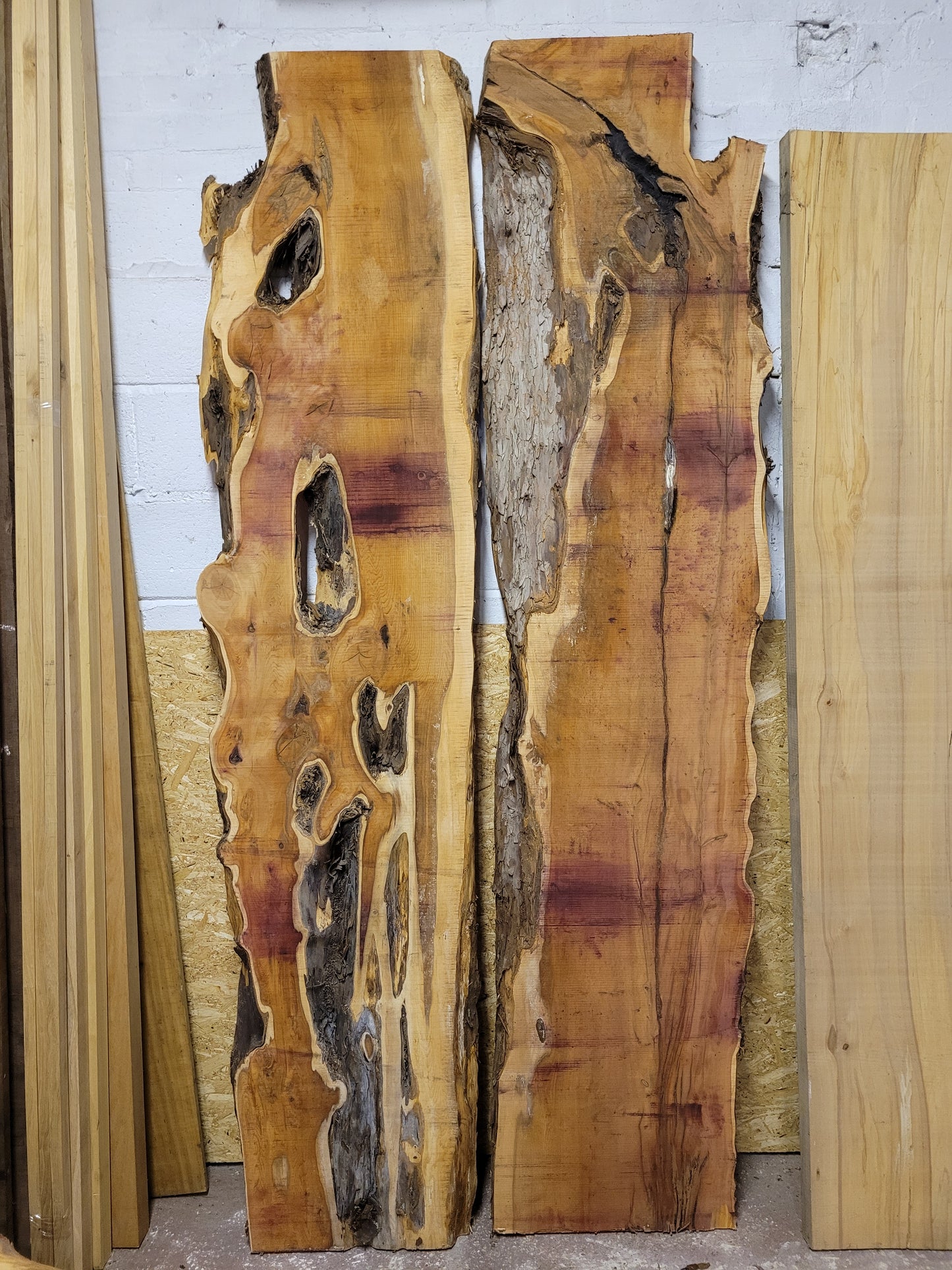 Yew Wood Slab Large Live Edge 2.3m Long