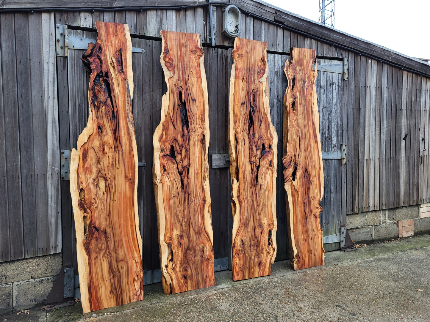 Yew Live Edge Slabs 2.3m Long - Dining Table Top / Bar Top