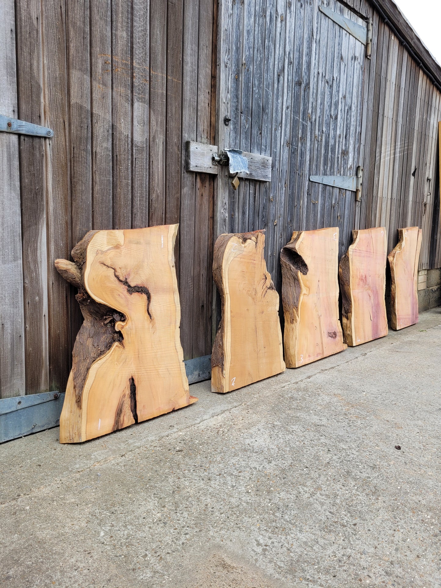 Yew Live Edge Slabs