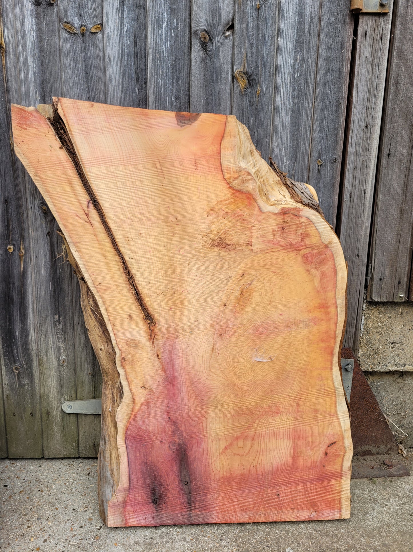 Yew Live Edge Slabs