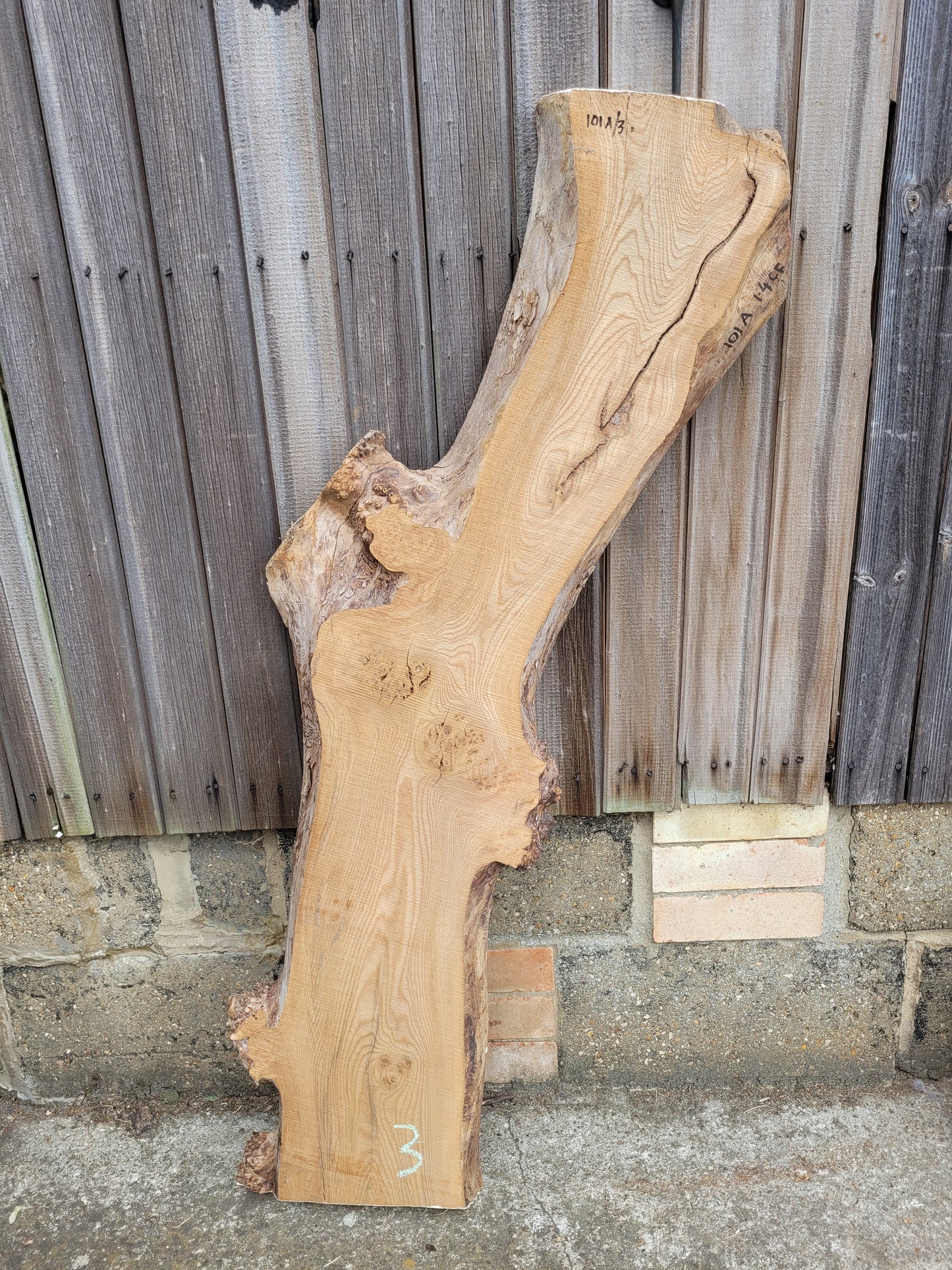 Burr Elm Live Edge Boards Rustic (101a/1-3)