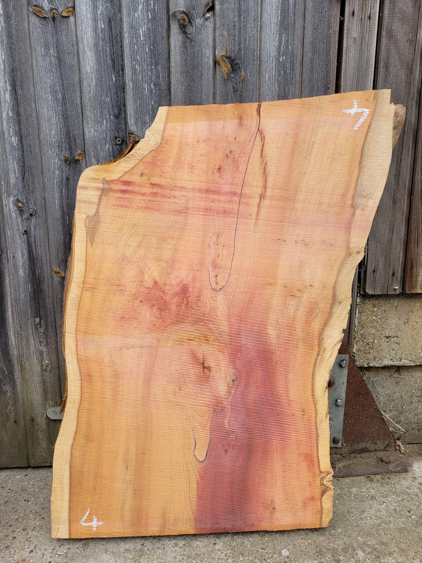 Yew Live Edge Slabs