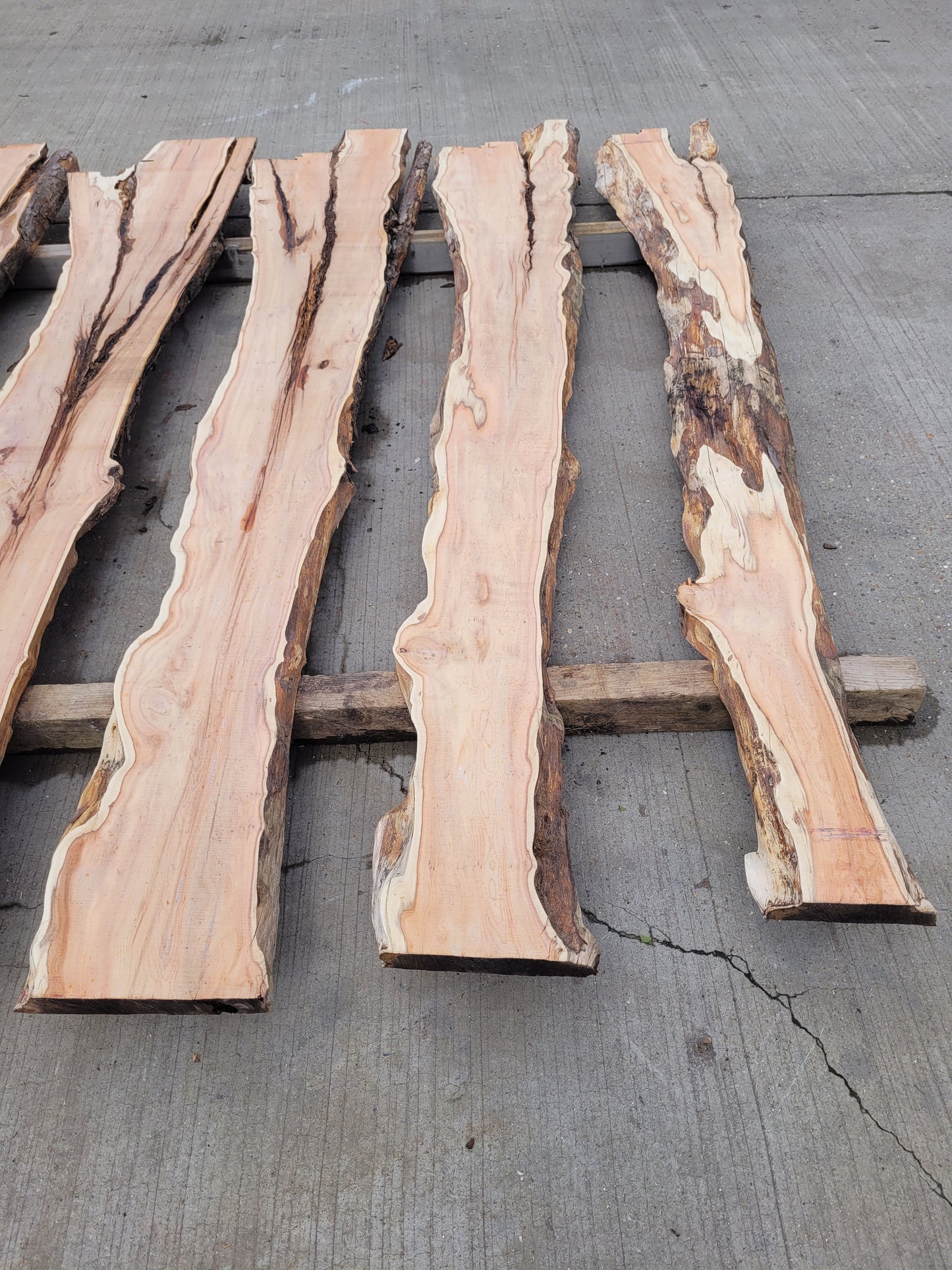 Yew Log 2.4m 7.25 ft3 (Y2)