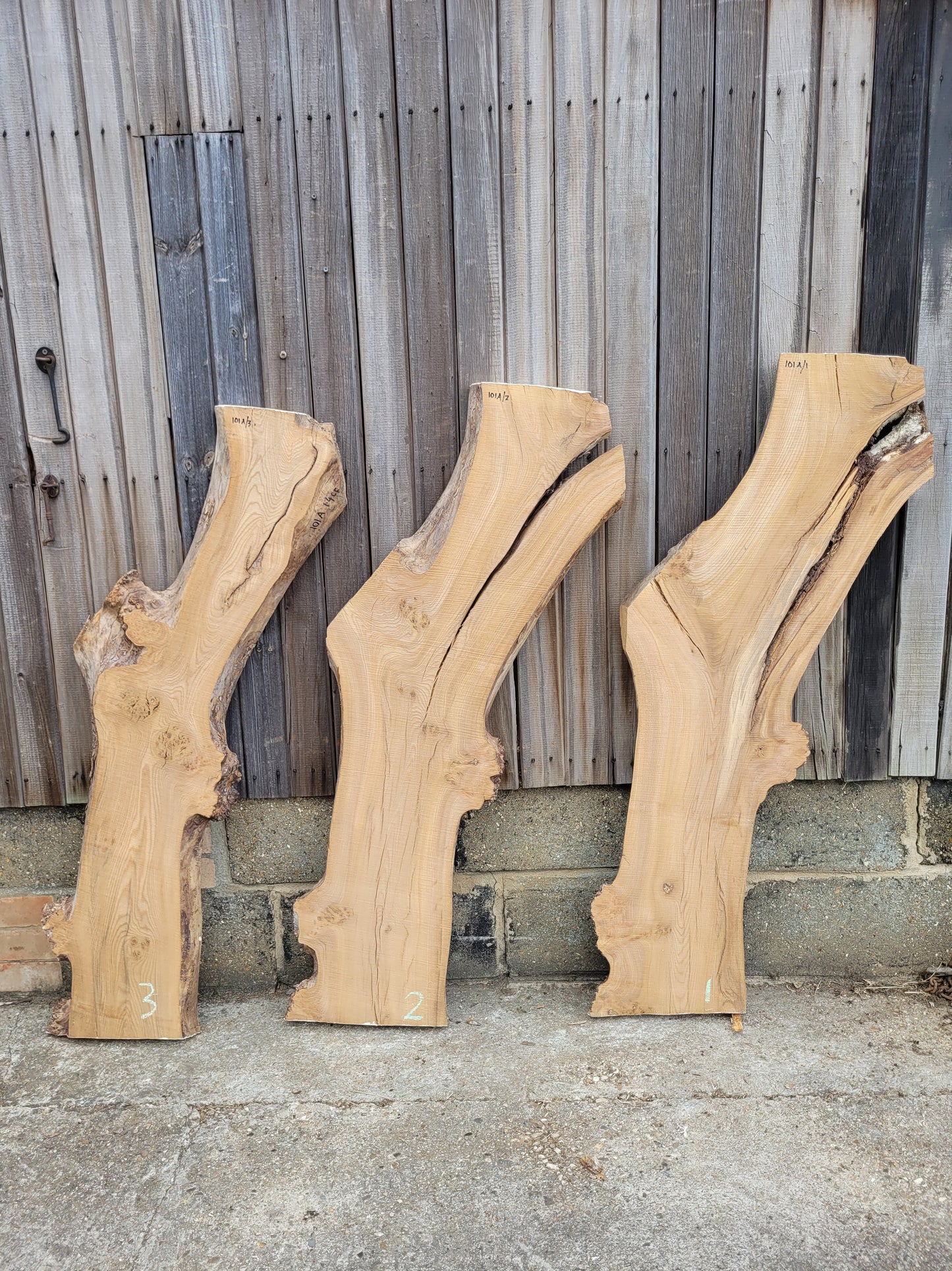 Burr Elm Live Edge Boards Rustic (101a/1-3)
