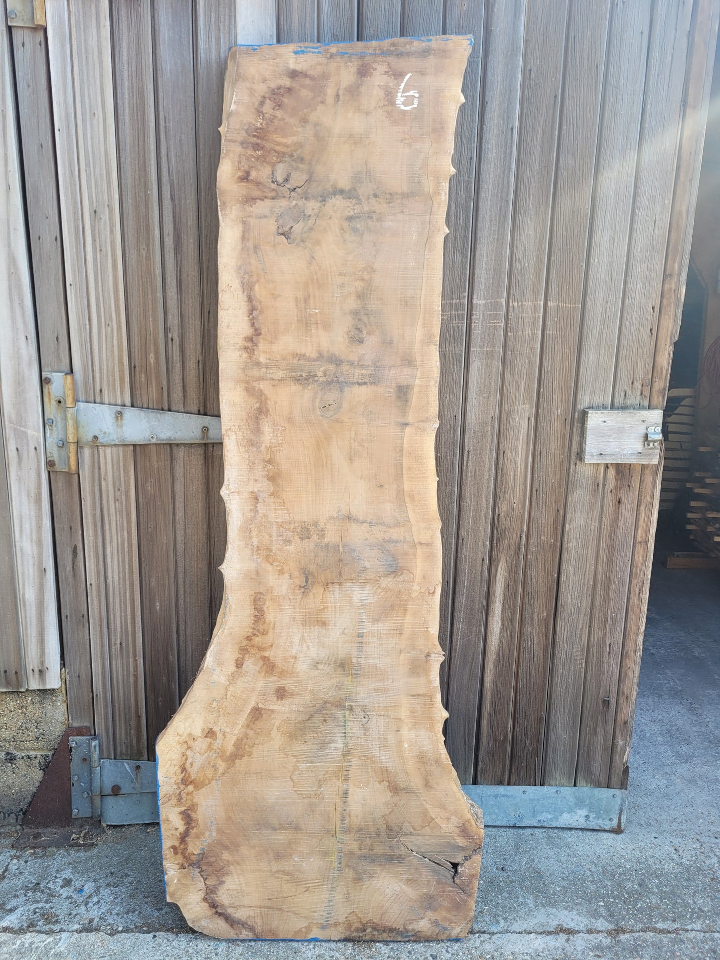 English Walnut Slab Live Edge Board Table Top 1970 x 470/720 x 75mm (6)