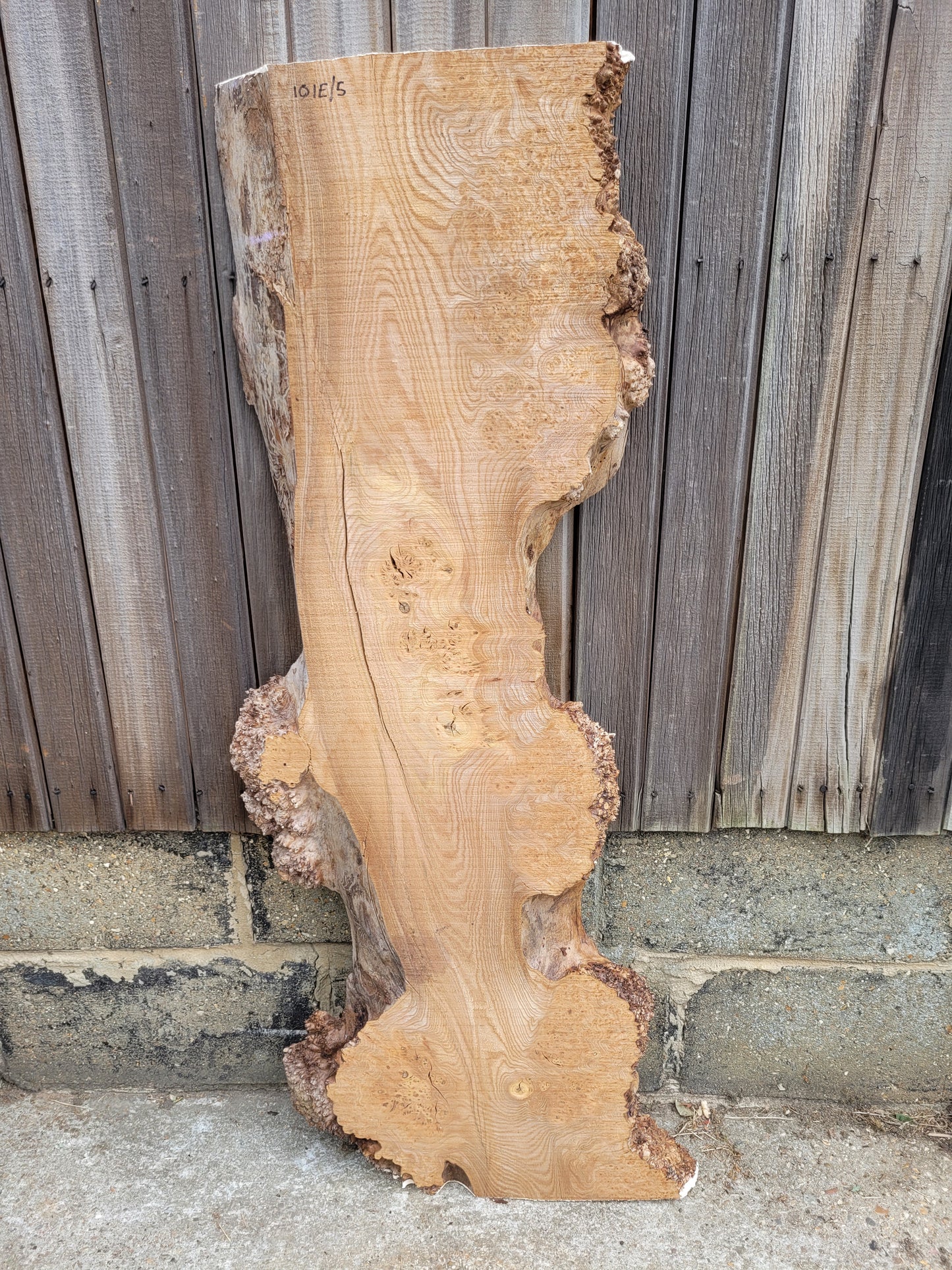 Burr Elm Live Edge Boards (101e/1-5)