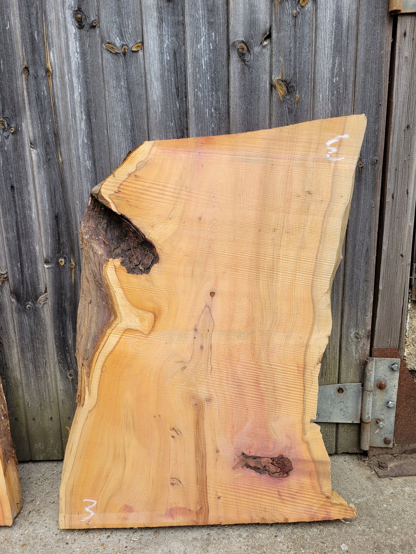 Yew Live Edge Slabs