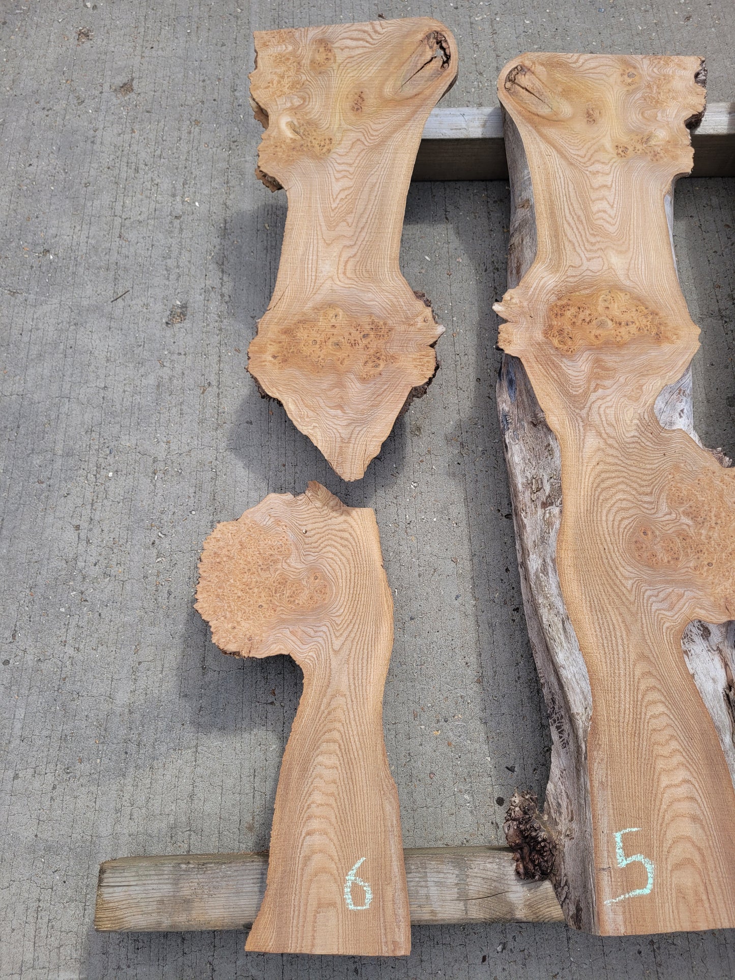 Burr Elm Live Edge Boards 1.25m (101b)