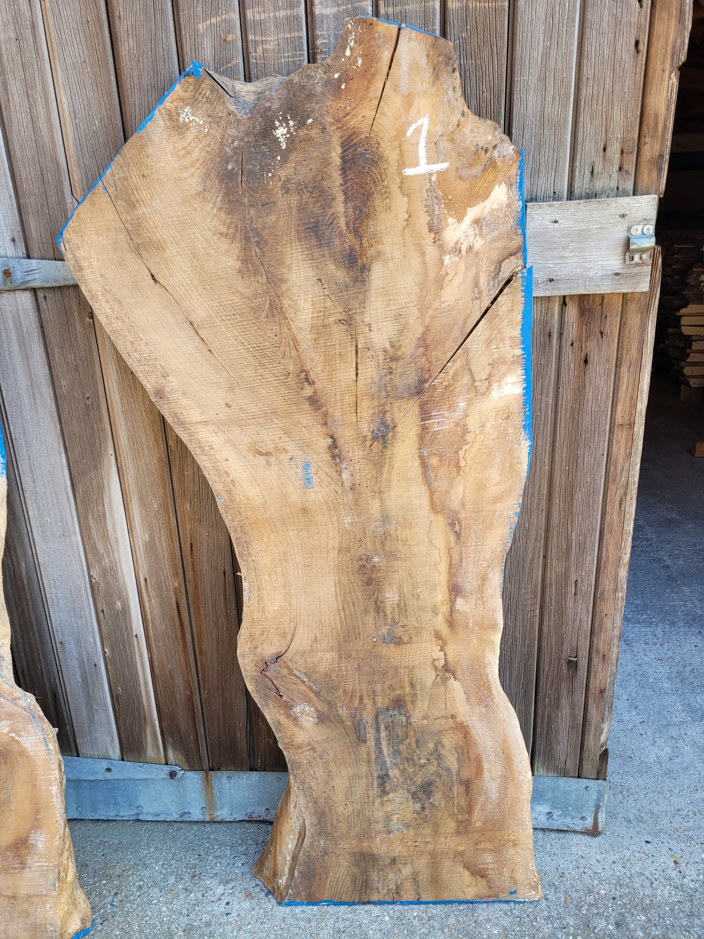 English Walnut Slab Live Edge Board Table Top 1400 x 400/650 x 75mm (1)