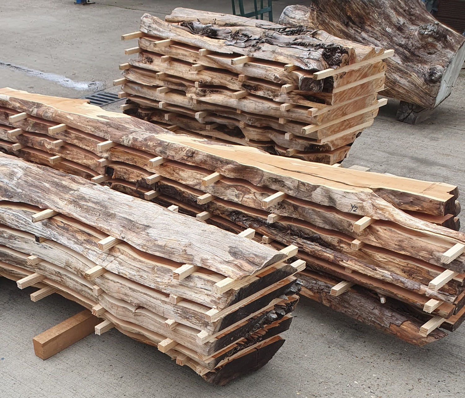 Complete Tree Sets