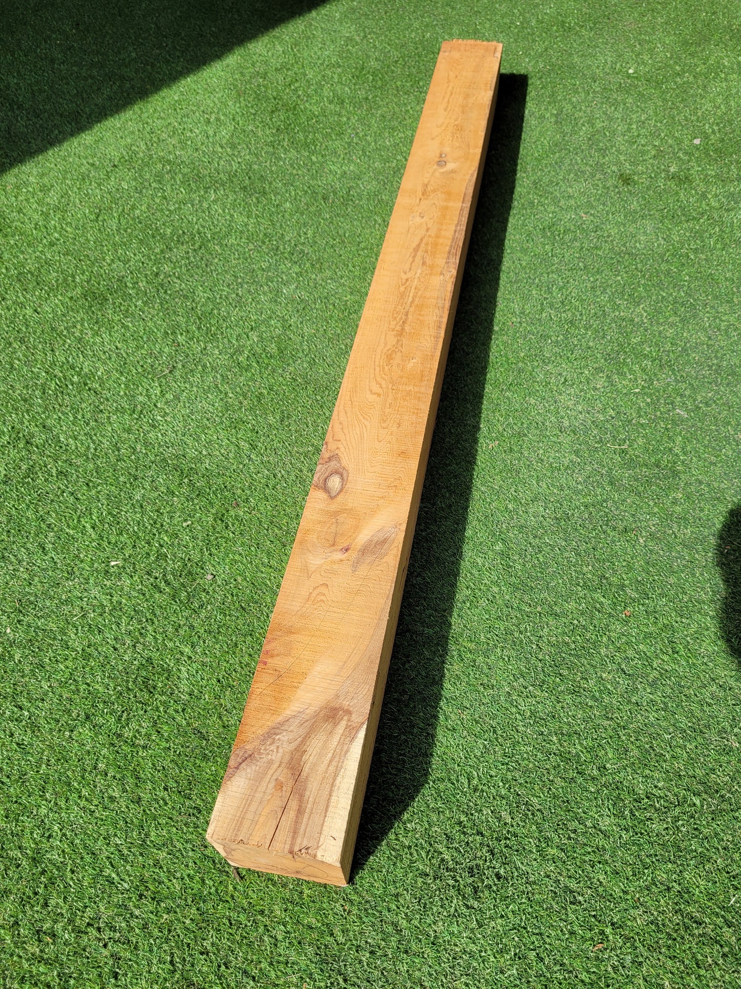 Yew Timber Beam