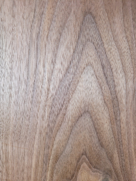 American Black Walnut