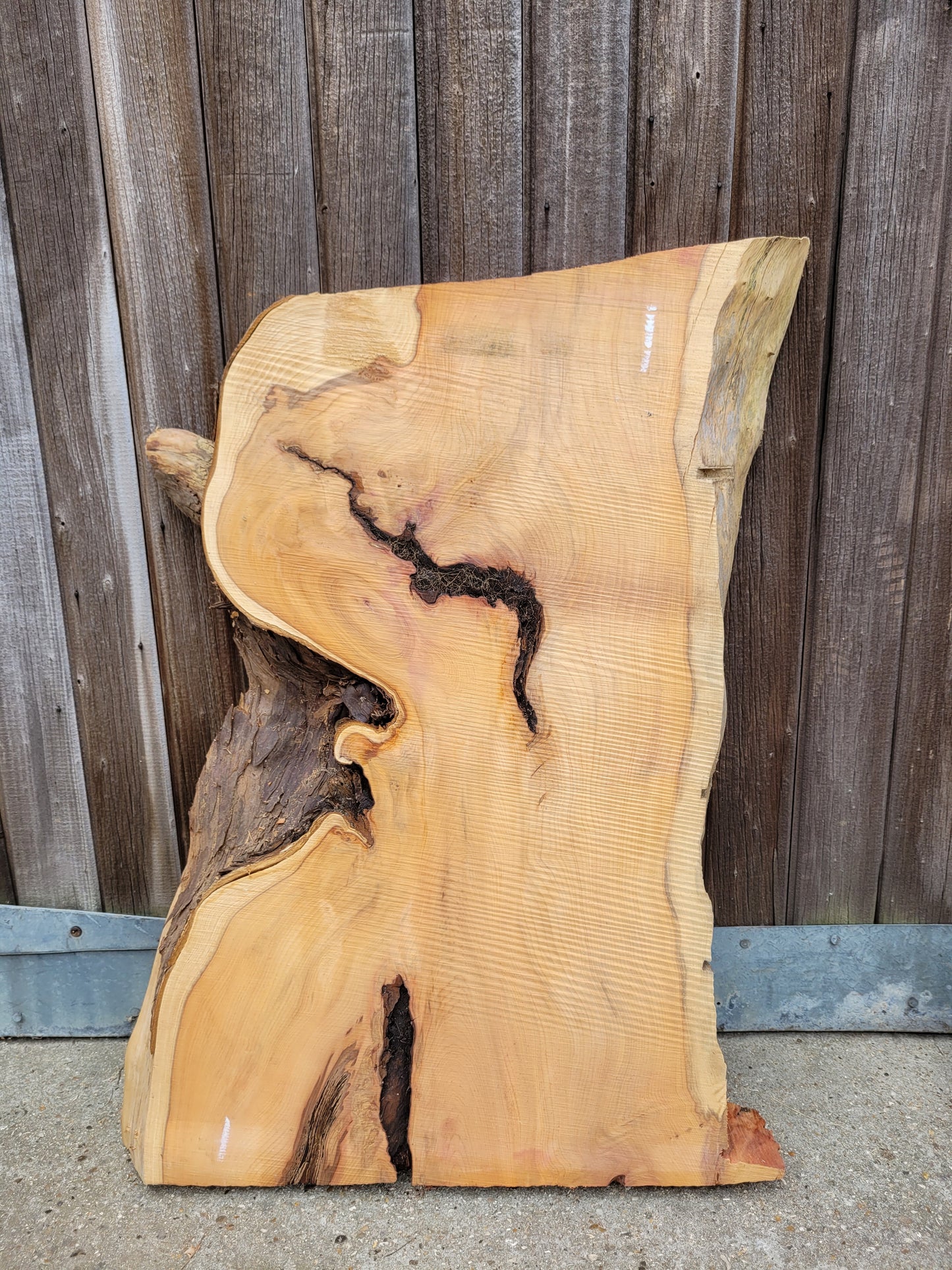 Yew Live Edge Slabs