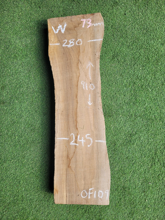 English Walnut Timber Slab (OF109)