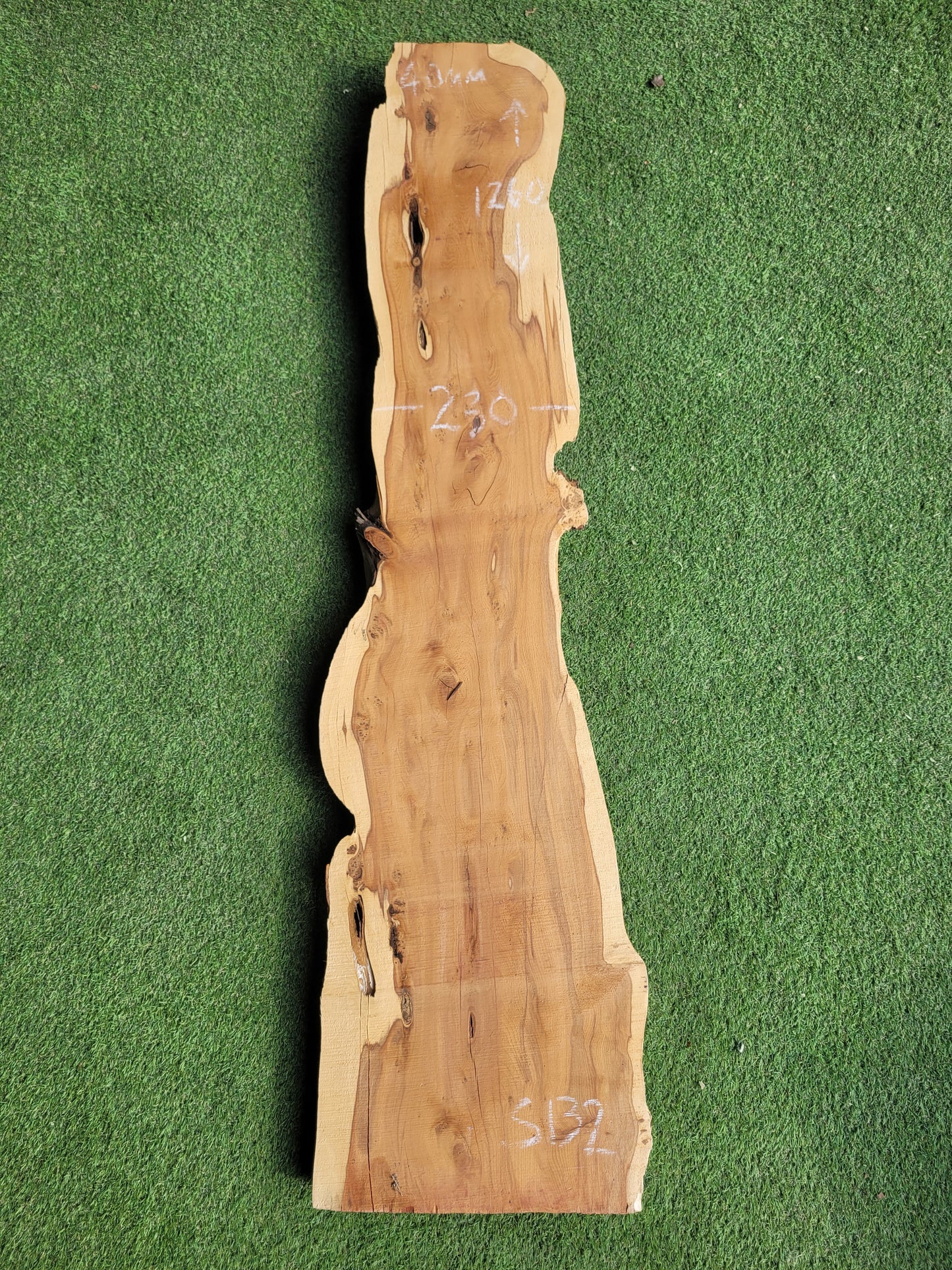 Yew Timber Slab (2612)