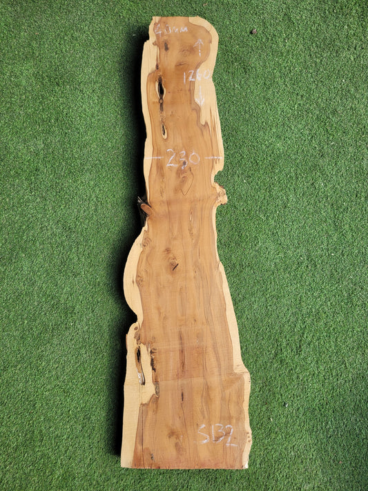 Yew Timber Slab (S132)