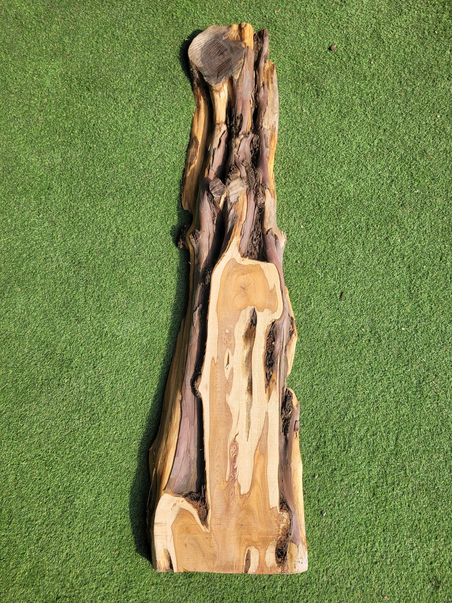 Yew Timber Slab (2612)