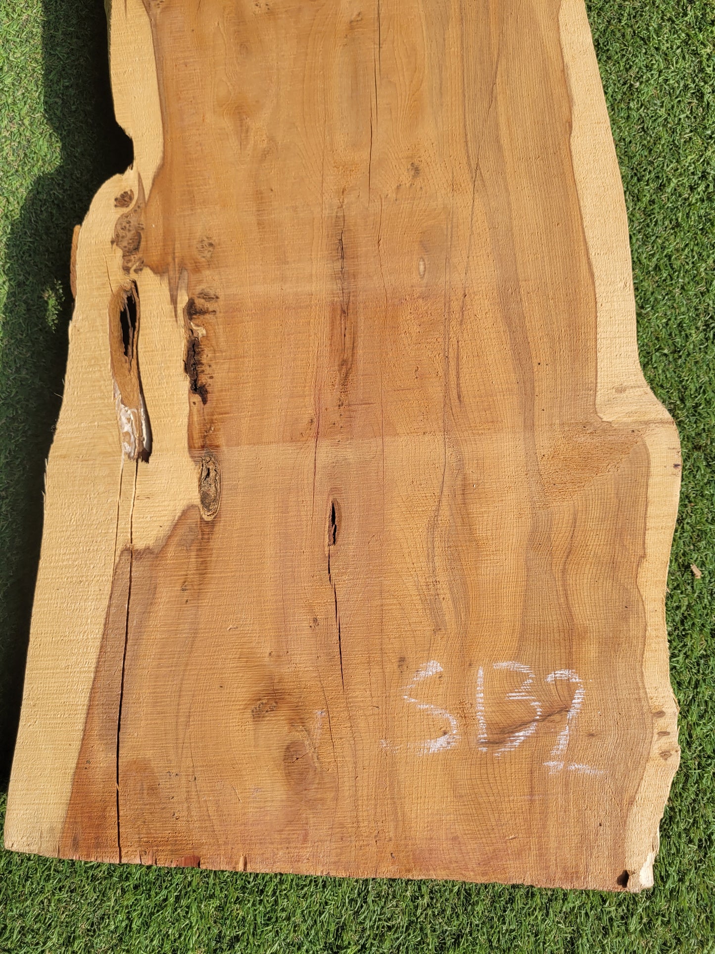 Yew Timber Slab (2612)