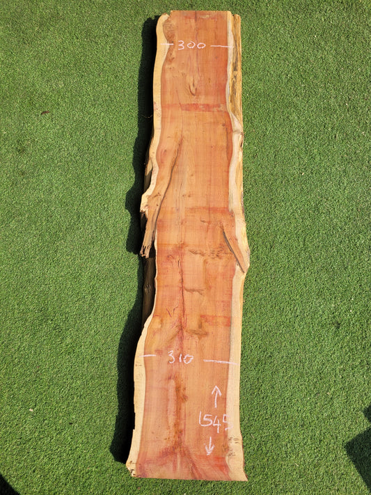 Yew Live Edge Timber Slab