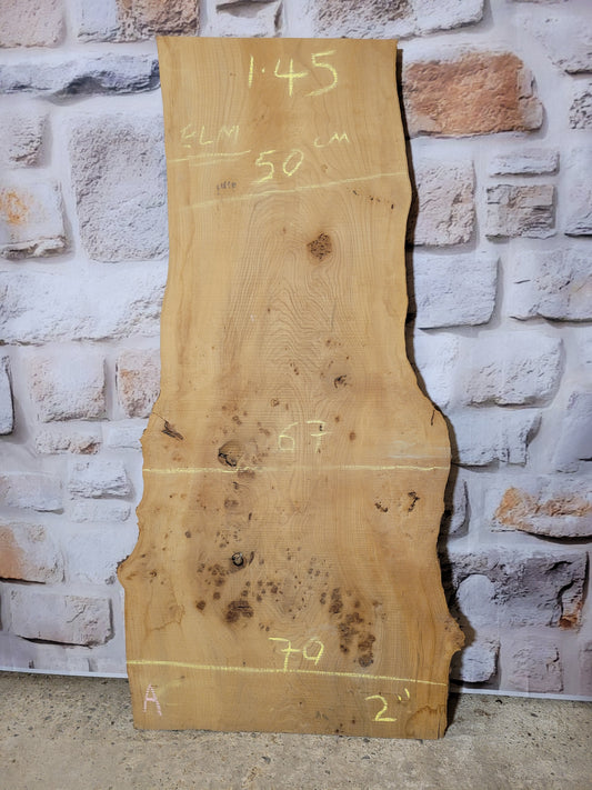 Red Elm Timber Slab