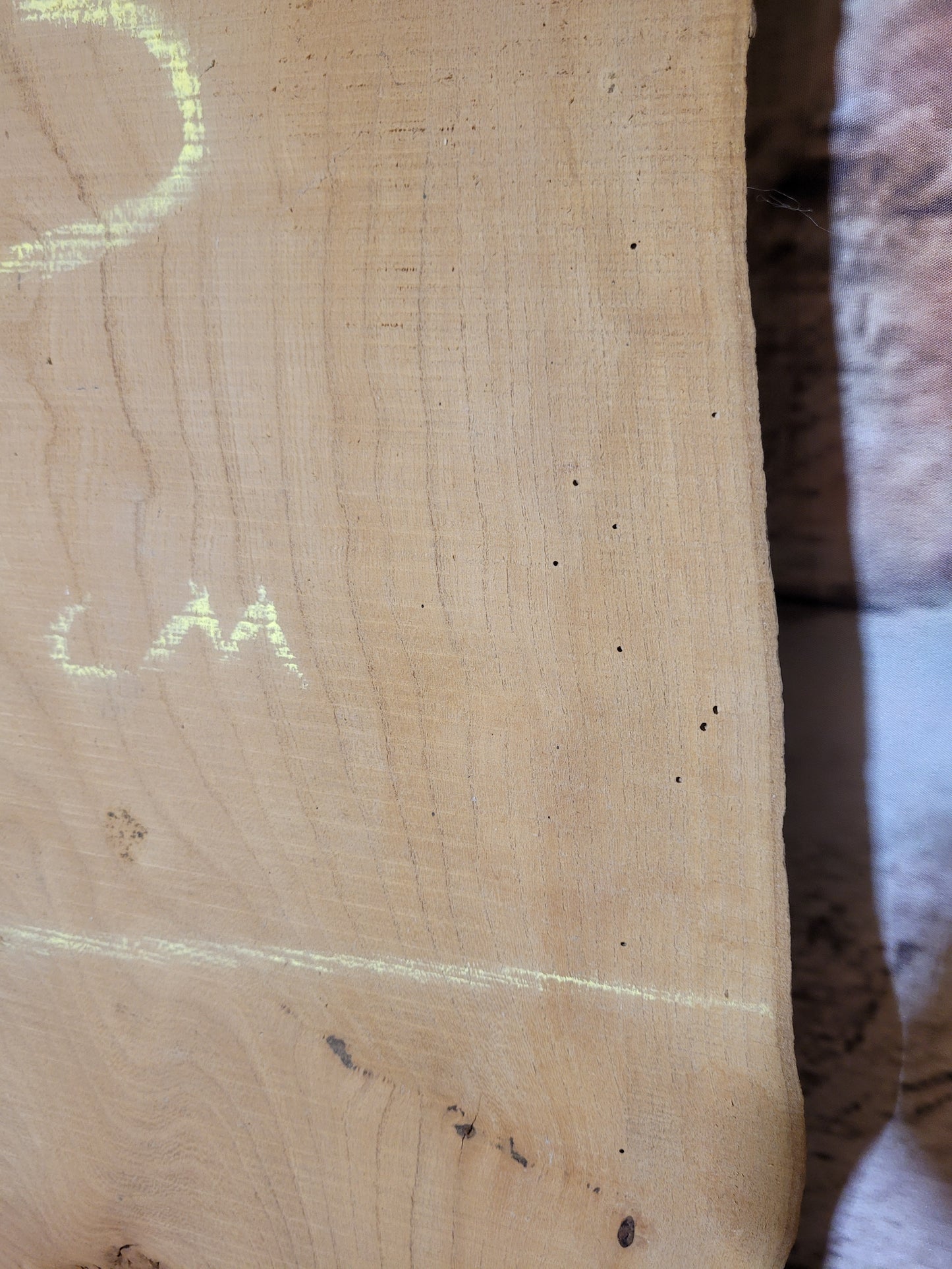 Red Elm Timber Slab