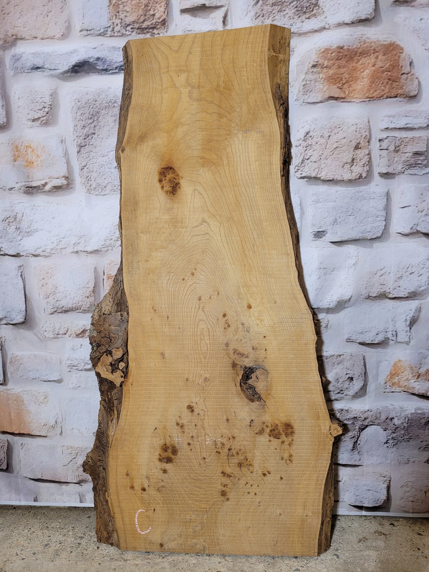 Red Elm Timber Slab