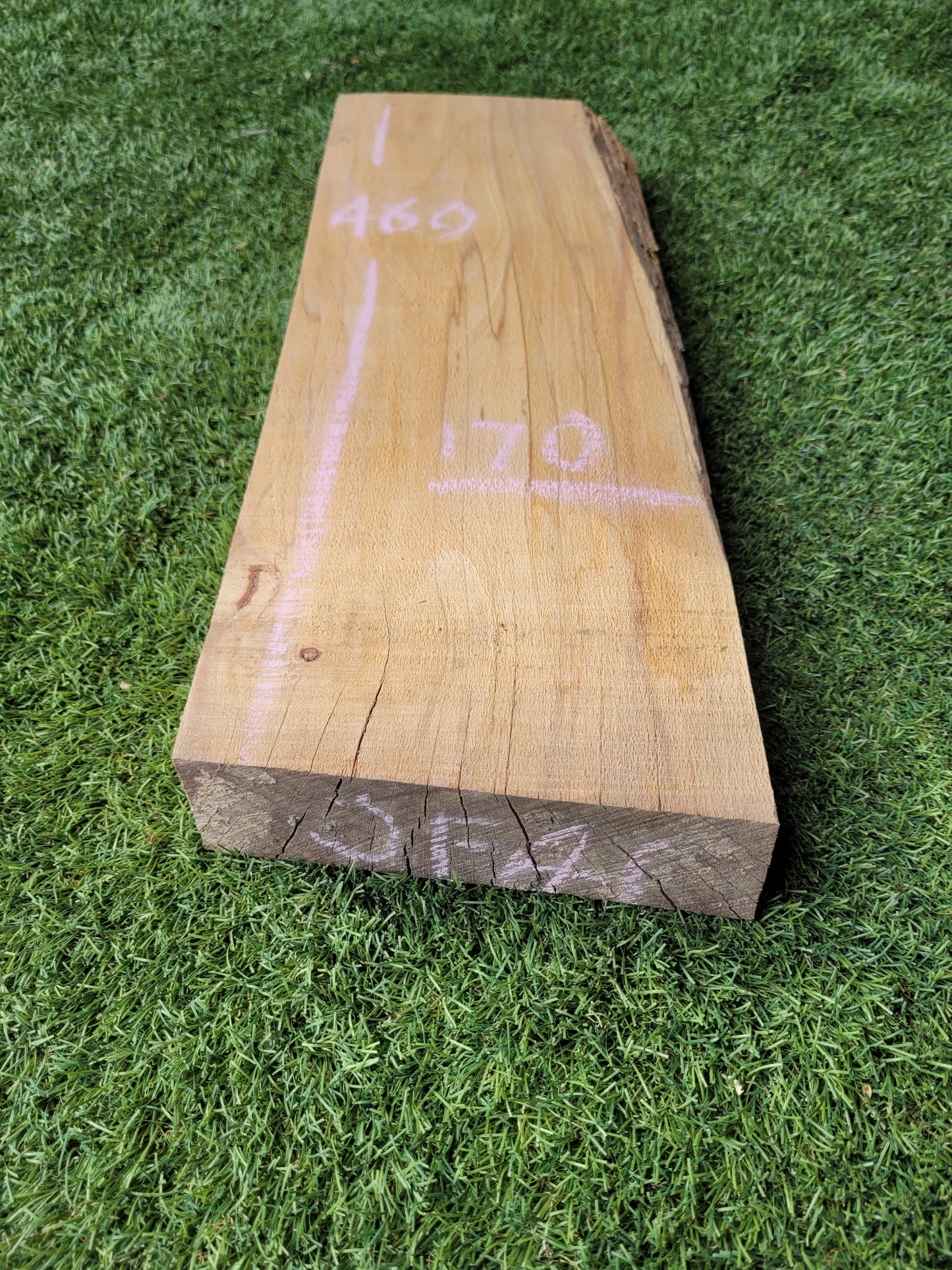 Spalted Beech Hardwood Offcut (OF41)