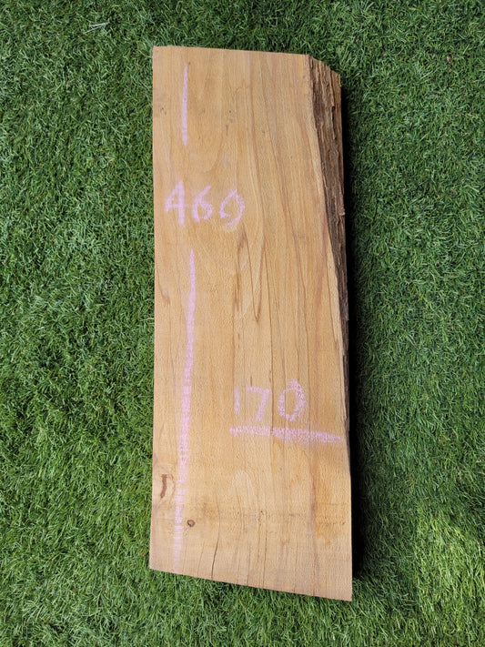 Spalted Beech Hardwood Offcut (OF41)