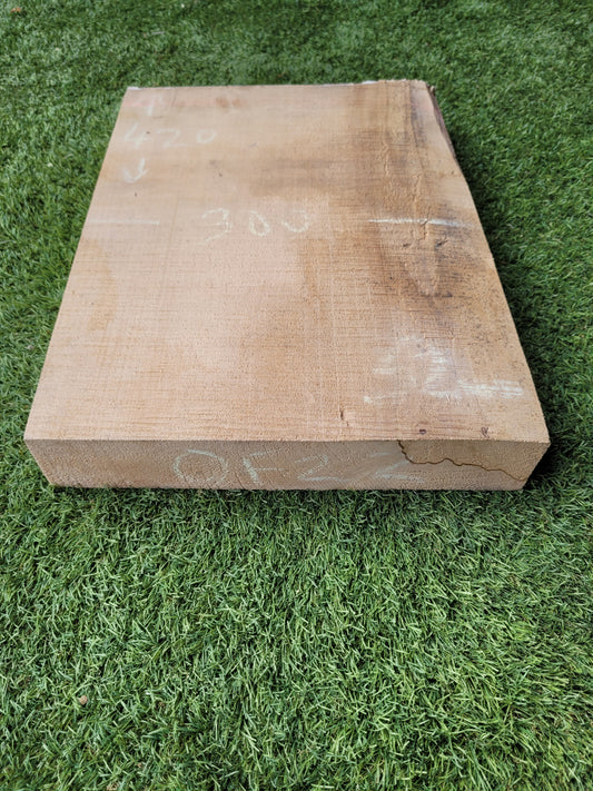 Spalted Beech Hardwood Offcut (OF22)