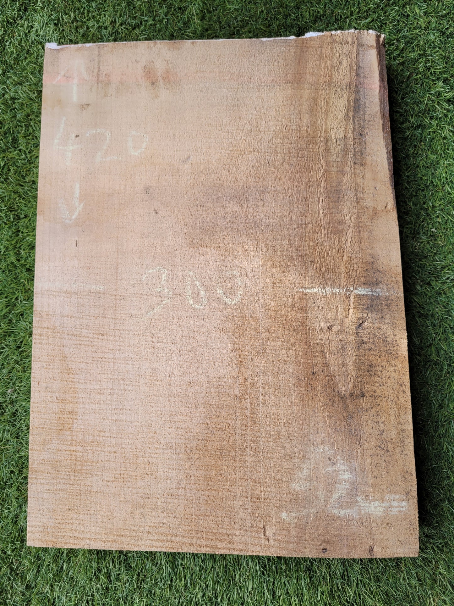 Spalted Beech Hardwood Offcut (OF22)
