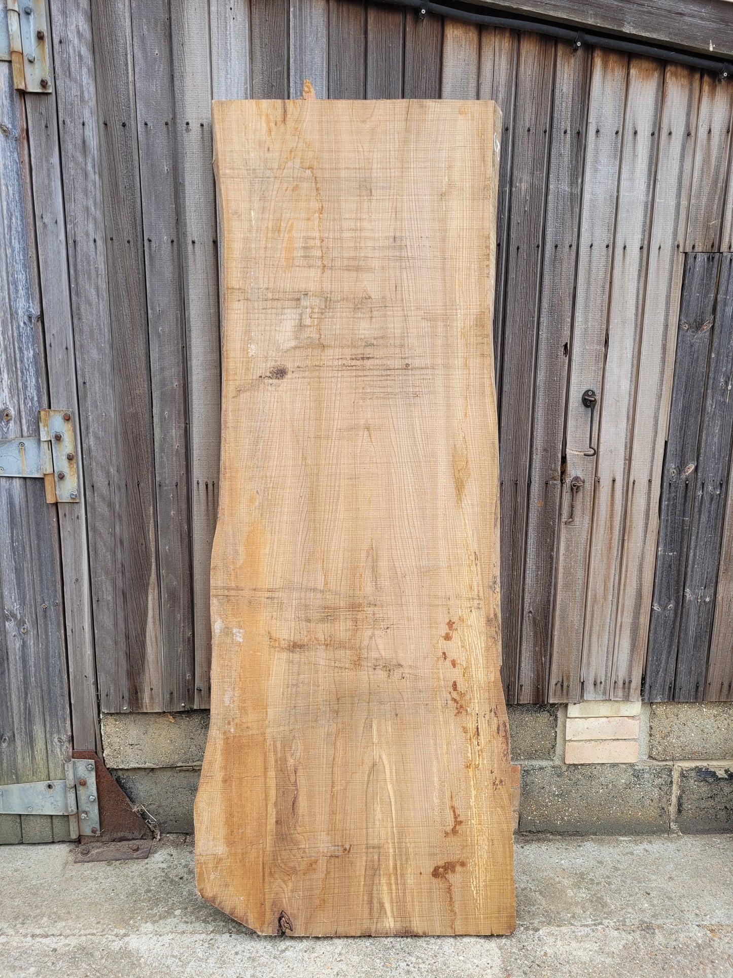 English Elm Hardwood Live Edge Slab / Table Top (B)