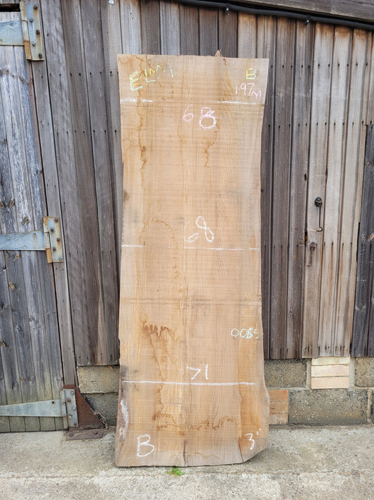 English Elm Hardwood Live Edge Slab / Table Top (B)