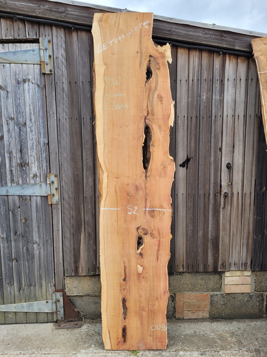 Yew Live Edge Slab (0055)