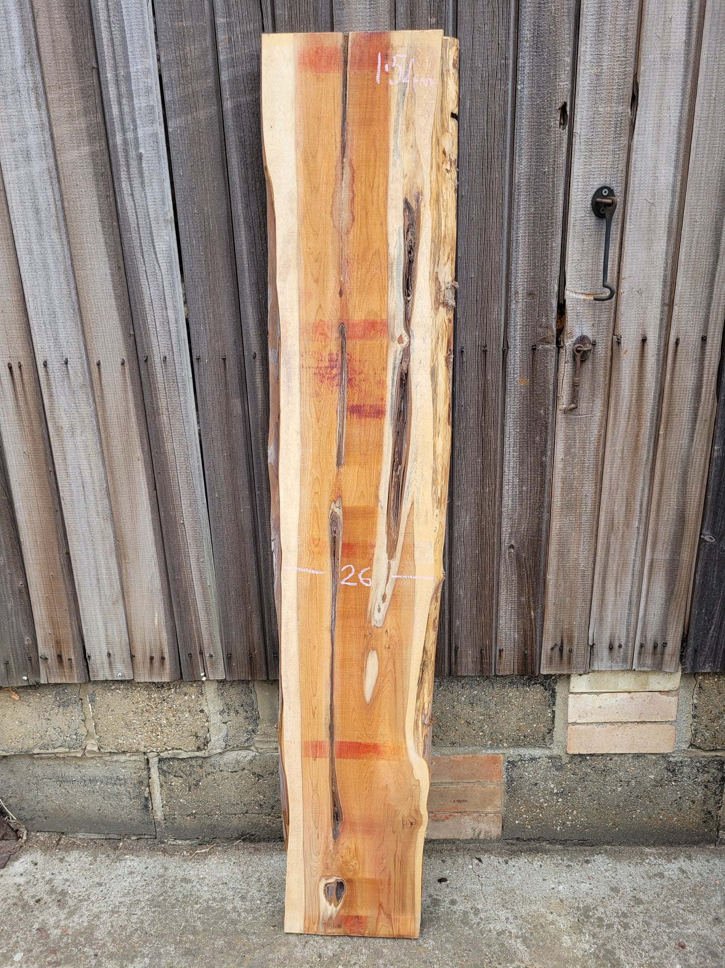Yew Timber Live Edge Slab 1.54m Long