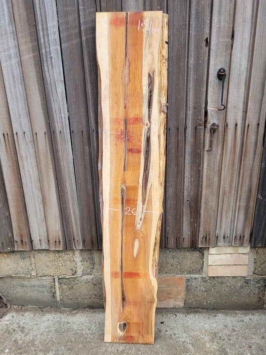 Yew Timber Live Edge Slab 1.54m Long