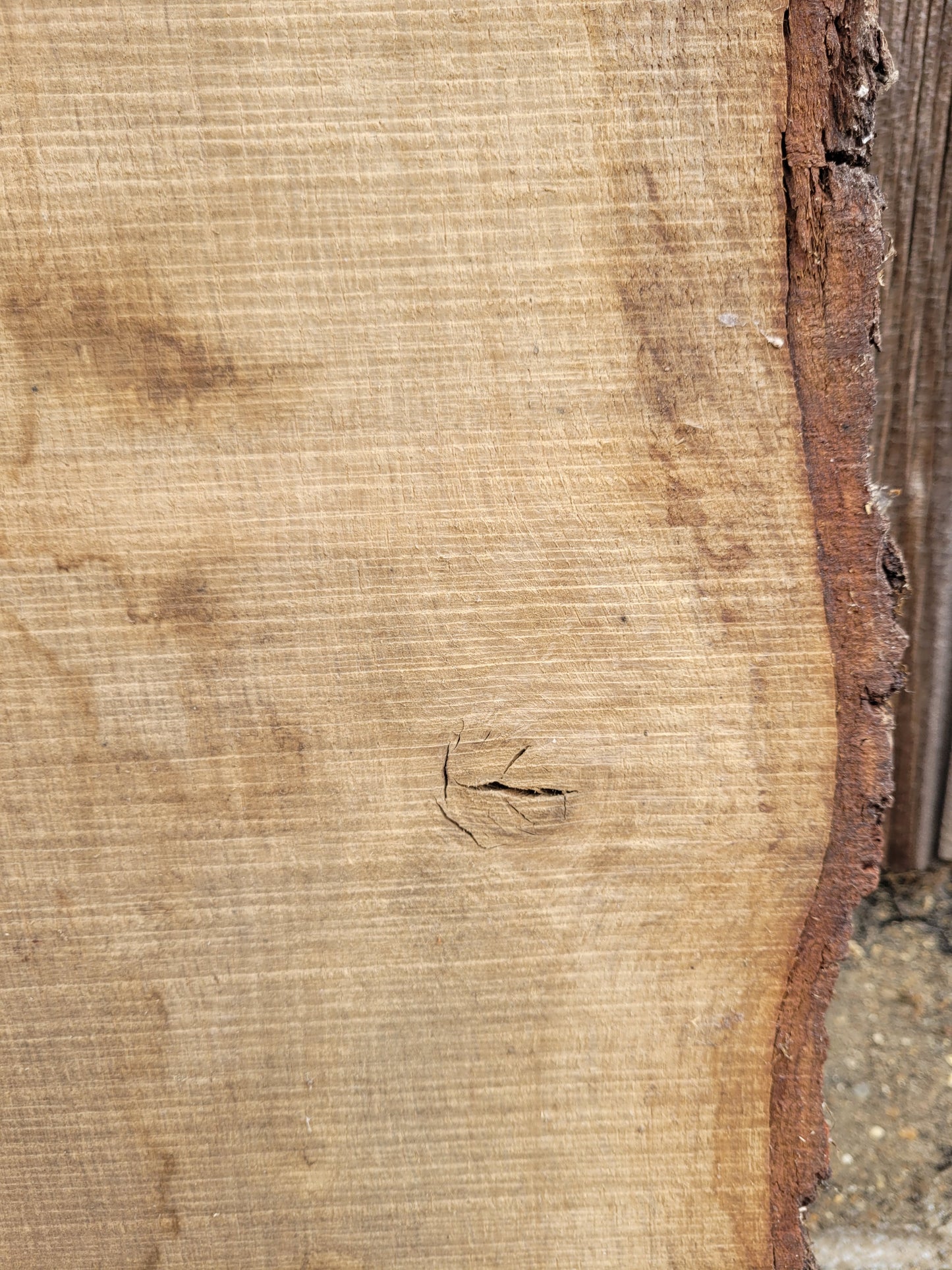 English Oak Hardwood Live Edge Slab 1.5m Long
