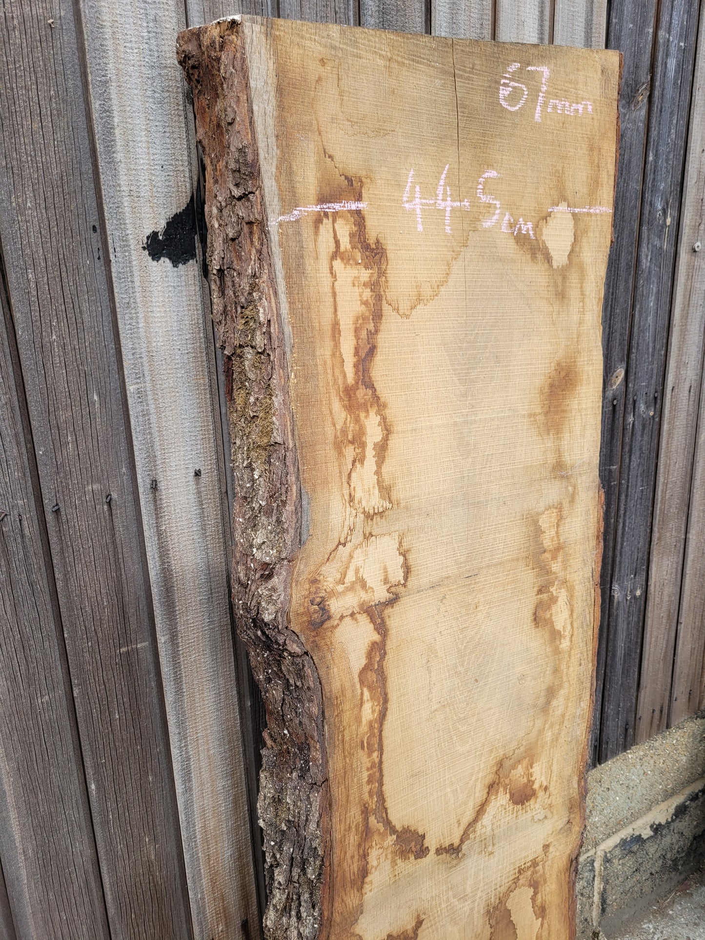 English Oak Hardwood Live Edge Slab 1.5m Long